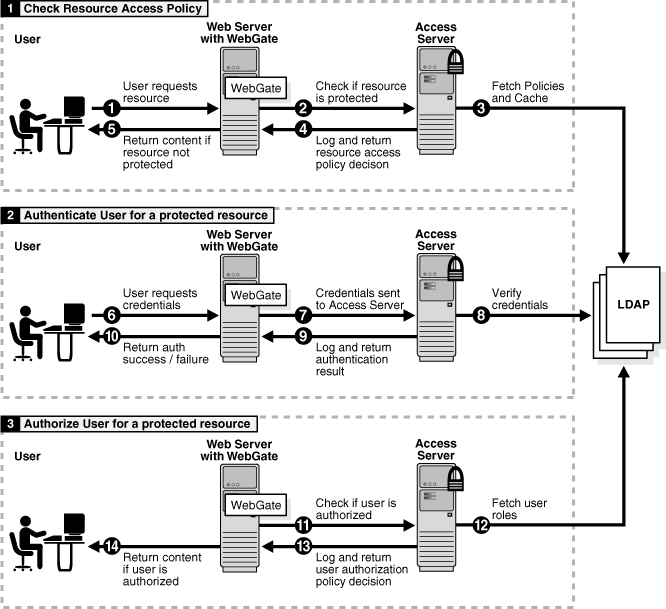 Authentication and authorization processes