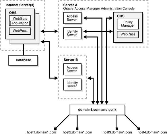 Choices in an Actual Mid-Sized Deployment