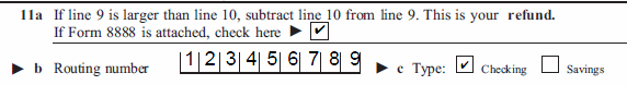 PDF form field requiring characters in specific positions