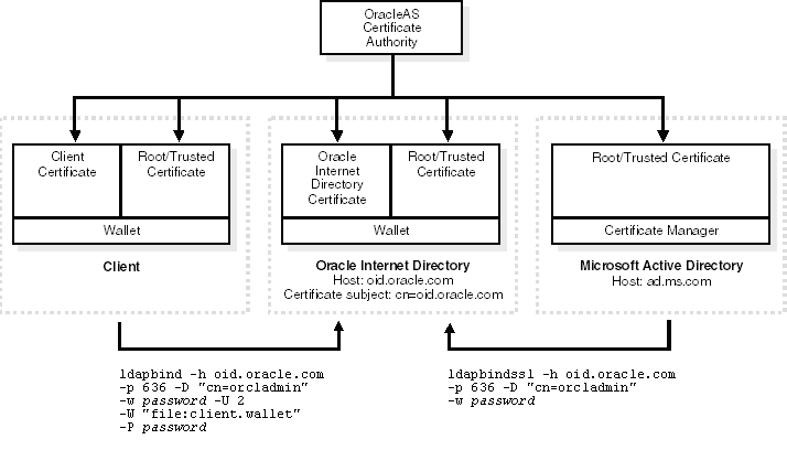 Description of Figure 20-1 follows