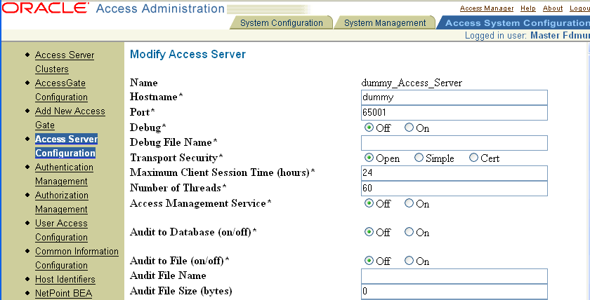Audit file parameters image; description follows.
