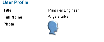Image of sample header panel for a user